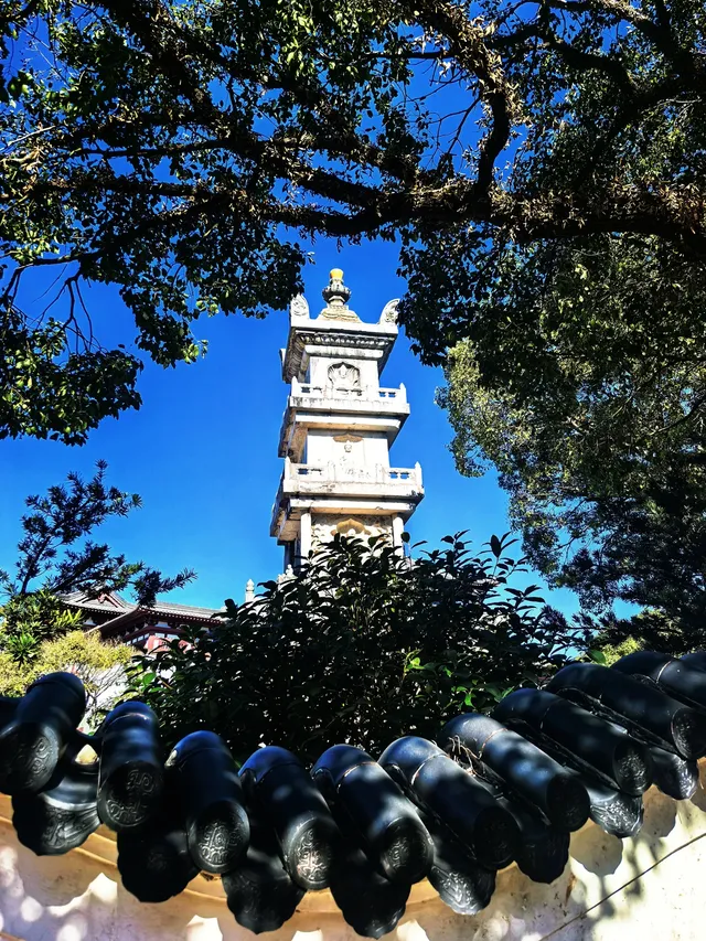 要來一次普陀山，越來越好（附攻略）