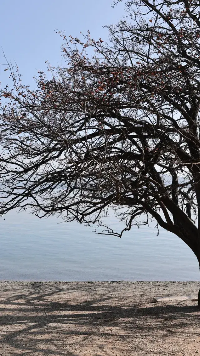 麗江3日躺平遊|拒絕特種兵!把日子過成詩 麗江3日躺平遊|拒絕特種兵!把日子過成詩