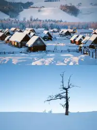 阿勒泰｜過一個被雪輕輕擁抱的冬天