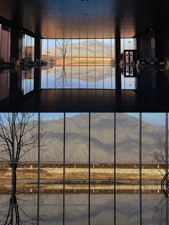 看着賀蘭山游泳是一種什麼體驗 看着賀蘭山游泳是一種什麼體驗