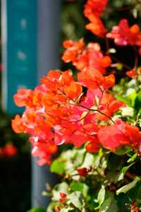 逃離城市喧囂廈門這條山海步道真的封神了