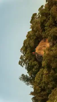 廈門 ｜山海步道林海線