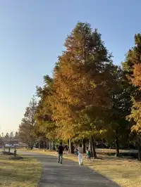 上海辰山植物園|去過超十次,還是想去!
