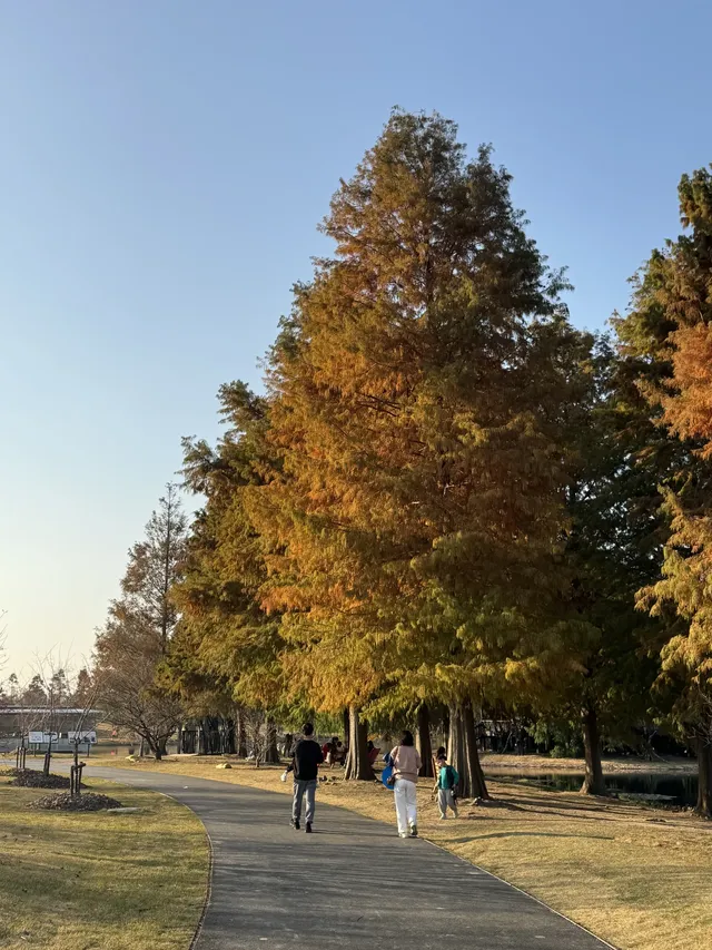 上海辰山植物園|去過超十次,還是想去! 上海辰山植物園|去過超十次,還是想去!