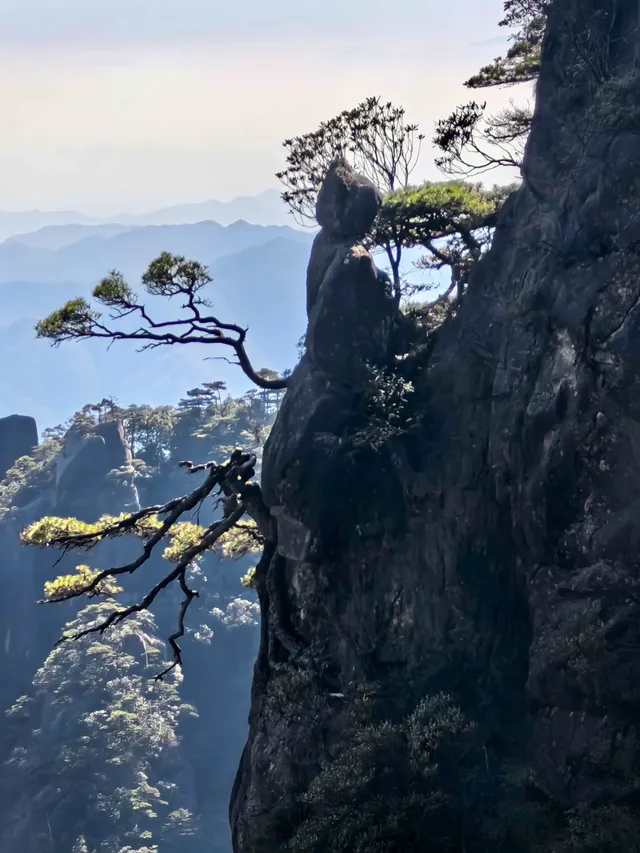 三清山媲美黃山 三清山媲美黃山