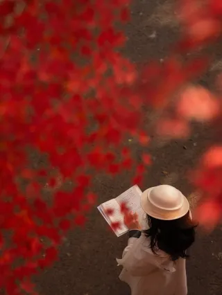 12.5 Live Report|These spots at Zhongshan Botanical Garden guarantee great shots!