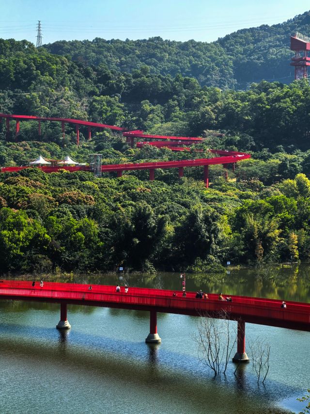 為什麼深圳人總在朋友圈曬這座虹橋？