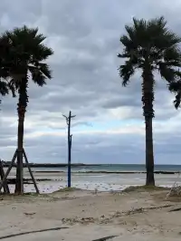 濟州島solo trip一人遊吃住行攻略