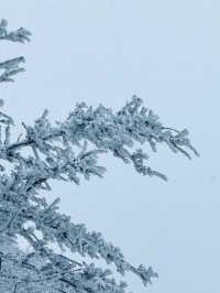 陝西秦嶺小火車|闖入冰雪秘境