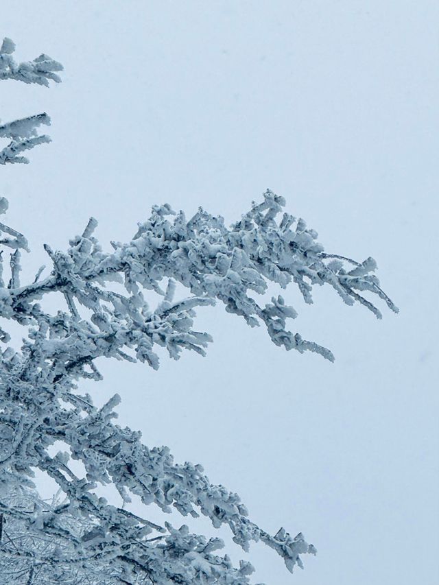 陝西秦嶺小火車|闖入冰雪秘境 陝西秦嶺小火車|闖入冰雪秘境