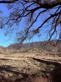 宏村→塔川一日遊