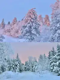 長白山雪嶺聖誕樹林裡的夢幻日落(附攻略)