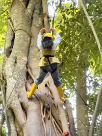 版納雨林徒步 ｜和世界失聯的四小時