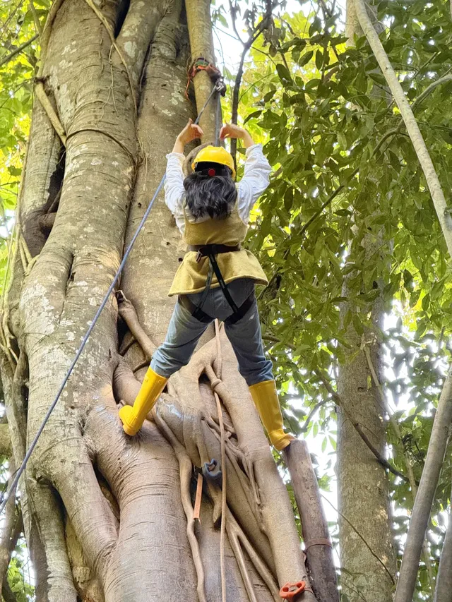 版納雨林徒步 ｜和世界失聯的四小時
