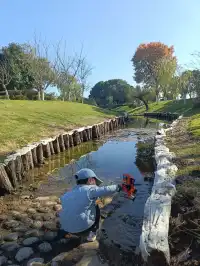 真心建議:週末帶娃,解鎖輕量化自然教育