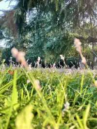 長沙賞秋超全攻略|看萬山紅遍,層林盡染