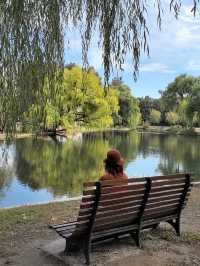 秋天的共青森林公園彷彿是一幅油畫