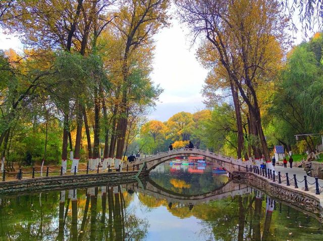 藏在城市裡的詩意秘境 —— 麒麟灣公園 藏在城市裡的詩意秘境 —— 麒麟灣公園