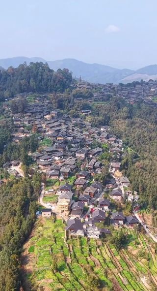 # 中國最後一個槍手部落——岜沙苗寨一日遊