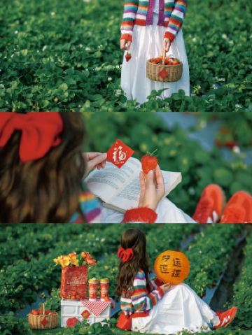 A Foodie's Strawberry Vacation Guide