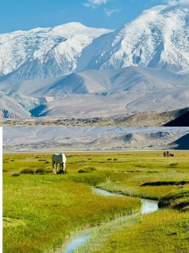 逐鹿三角南疆 南疆ルートを秒で理解 南疆14日間の旅行ナニー級攻略 | Trip.com