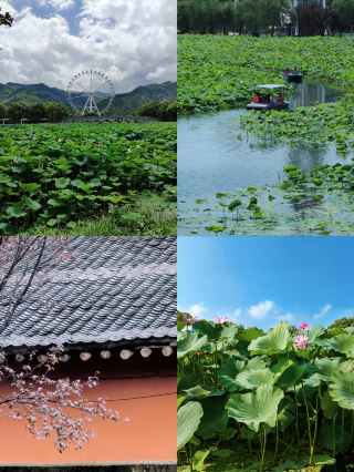 송진변성 1일 체크인 가이드
