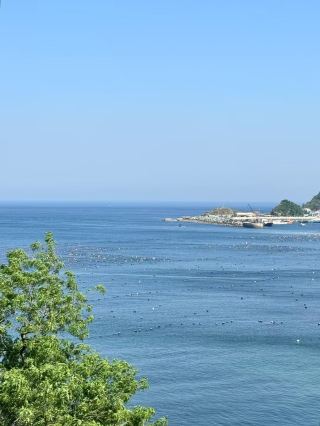 Trip.com Sea View｜The Off-Season is the Right Way to Experience Zhangzi Island～