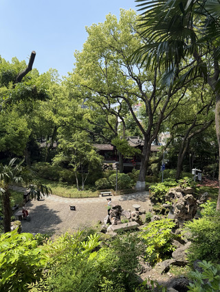 Zhongshan Park's lush greenery hits hard—Ningbo Haishu Zhongshan Park is worth visiting ten thousand times
