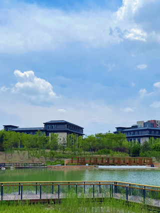 Xiong'an | Explore the Lotus Breeze and Green Fields in a Treasure Hotel