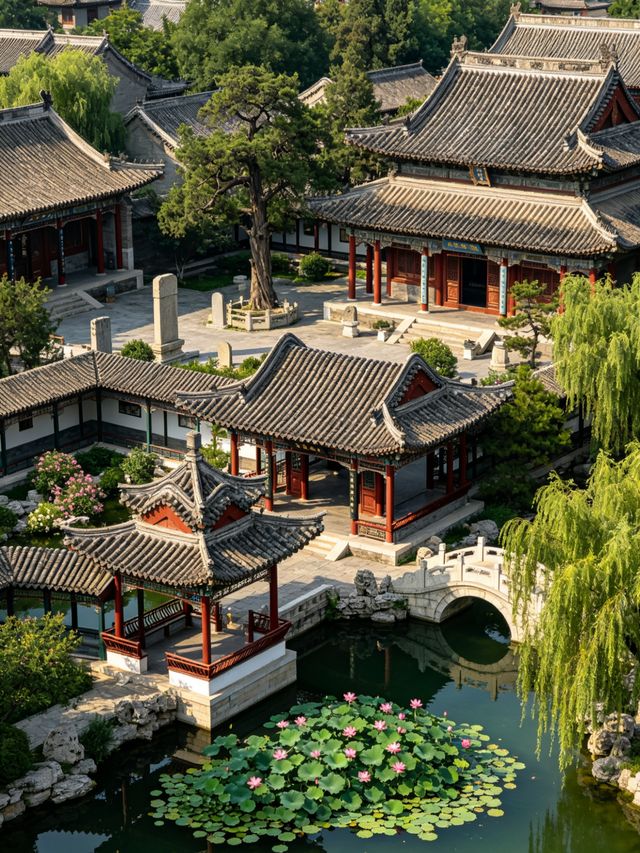 蓮池書院|保定夏日荷塘古風秘境