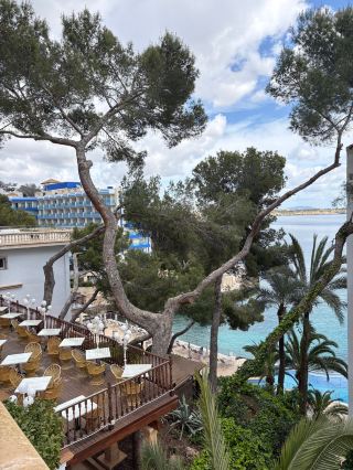Exceptional Service and Beautiful Views