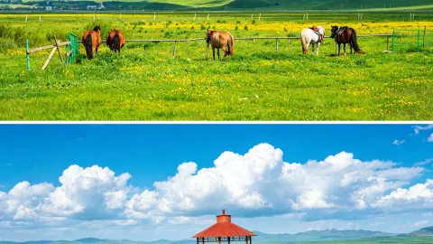 Ultimate Summer Escape Route Around Beijing: Grasslands + Wetlands + Amusement Park — traveler post in Guyuan County