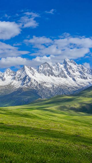 天祝的夏天，是雪山腳下18℃的風