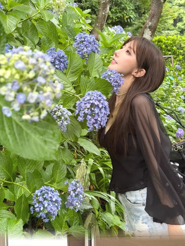 鎌倉初夏丨紫陽花に埋もれる夏 | Trip.com 鎌倉