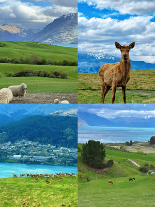 The ultimate way to spoil your wife! Take her to Queenstown, where every day feels like a honeymoon
