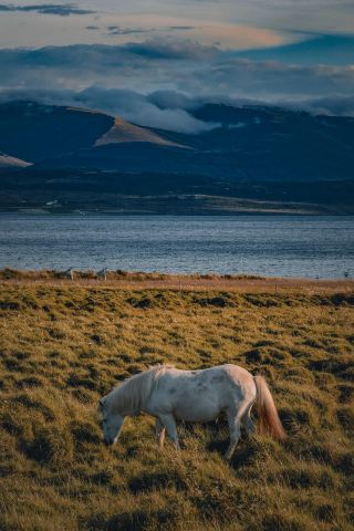Snæfellsnes Peninsula, the gateway to the earth’s core in Iceland’s miniature
