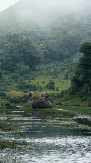  Yangjiang Jilongding | 1,280-meter high mountain meadow in western Guangdong, Guangdong’s “Little Altay”