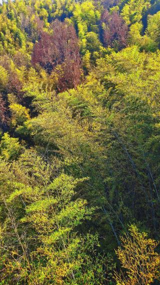 I recommend the Shifoshan Tianzi Lake Scenic Area in Xuancheng, Anhui! It boasts beautiful mountains and clear waters, fresh air, and is a great place for relaxation and vacation. Especially...