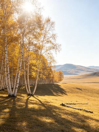 Ulan Butong 3 days 2 nights | The ultimate early autumn grassland in September | Off-peak travel to see golden fields