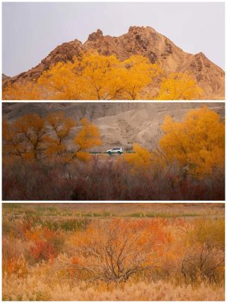 National Day Northwest China autumn self-driving guide (departing from Chengdu)