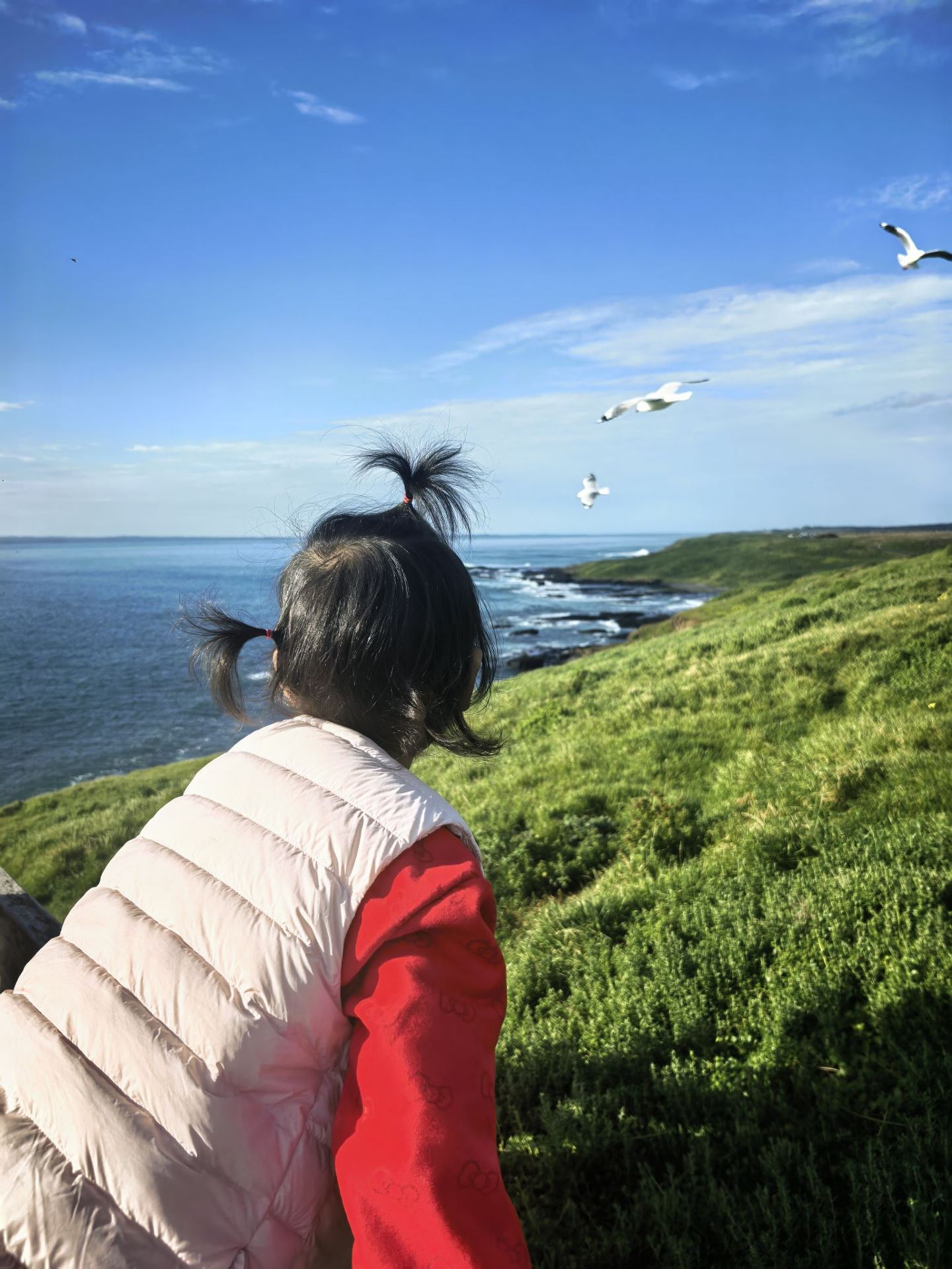 Melbourne Phillip Island private day tour, booking with Trip.com was such a breeze!