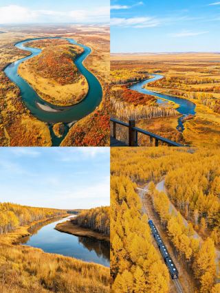 Autumn in Hulunbuir lasts only 20 days—miss it and you'll wait a whole year