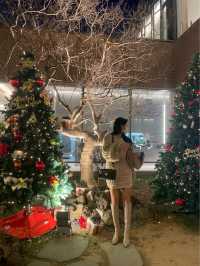 겨울에 더예쁜 청주카페 🎄데어데오🎄
