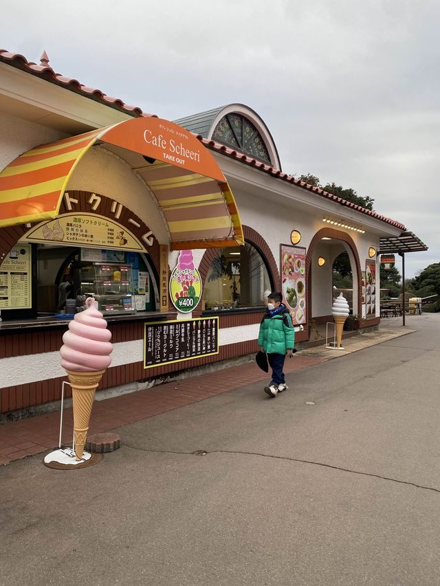 親子遊必去！ #伊豆仙人掌動物園