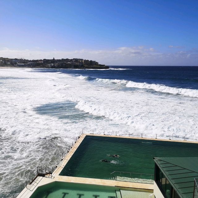 Sydney Bronte-Bondi Coastal Walk