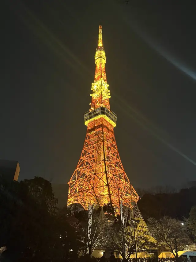 타코야끼 먹으면서 도쿄타워 야경 보기 🌃