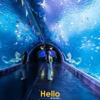 AQUARIA PHUKET 