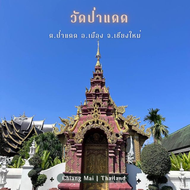 วัดป่าแดด สายมูห้ามพลาด ขอพรพระพิฆเนศ เสริมดวง