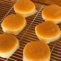 KIKI Cheesecake Pattaya 🍮