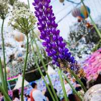 疫情後的花展